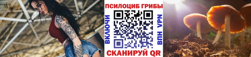 Галлюциногенные грибы Cubensis  Иноземцево 